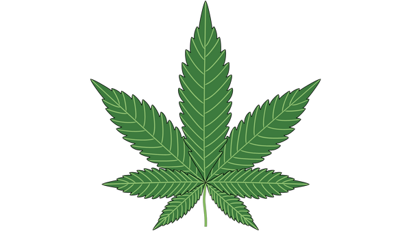 Cannabis Merch